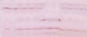 Entropy is an unfriendly quantity 08