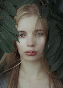 Botany