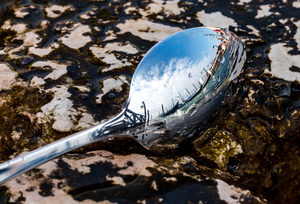 Venice, S.Marco Square