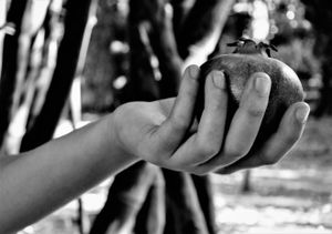 Offering to the goddess