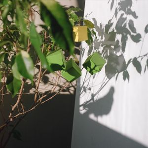 Work from series "Ilgas"