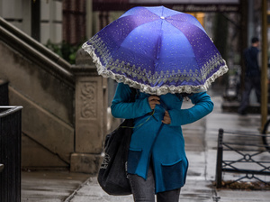 Rain Bonnet