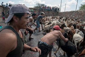 La Matanza