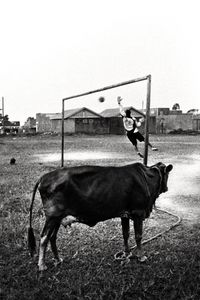 Badru likes playing soccer even when he should put his cow out to pasture © Nicola Angelo Mangia