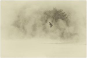 Landing of morning mist