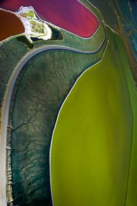 Salt Pond Restoration No. 8