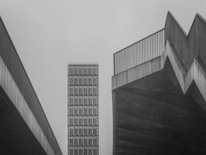 gry in gray XI