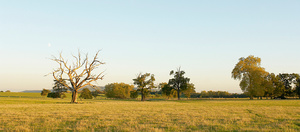 Landscape of Lancelot Capability Brown at Croome Park -  four features of landscape architecture  for magazine De Tuin Exclusief