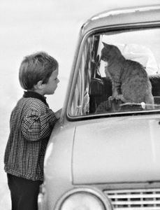 Acquaintance