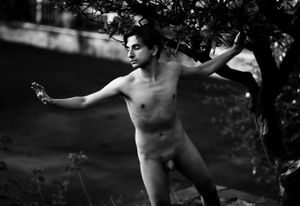 Sensual harmonies - Sensuali armonie