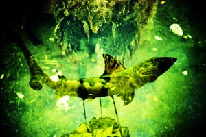 Traveling without moving