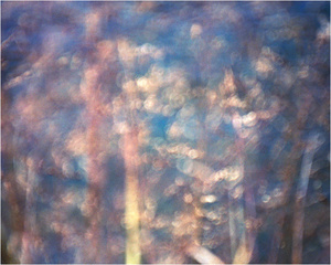 In a Landscape #9