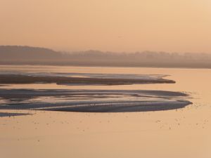 Fine Mist