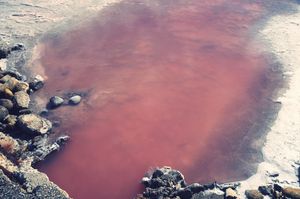 pink river