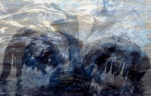 OIL-A History Of/Oilspills 07