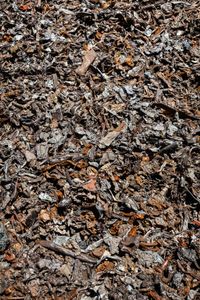 Scrap © Arthur Drooker