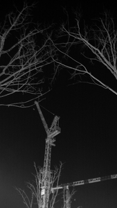 Crane at Night (Monochrome ver.)