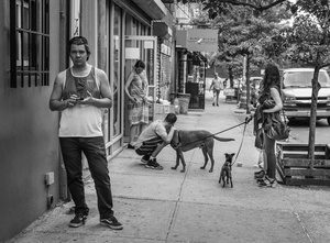 The Locals