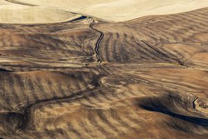 Palouse, WA. Study #70                        (47 1.9575N - 117 17.8121W)
