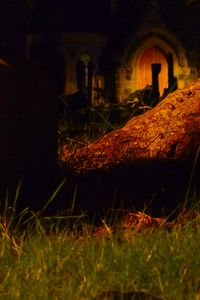 Until I had to rest upon the earth.