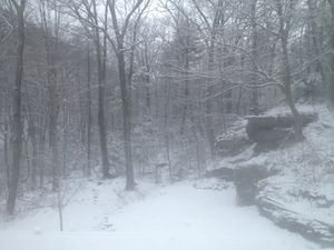 Mar 7  9:31am