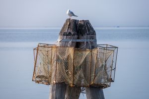 Isle of Pellestrina, Venetian lagoon, February 20, 2022