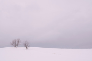 Winter Horizon in the Vicinity -05
