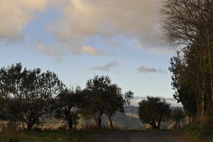Landscape near the mas Daumas Gassac