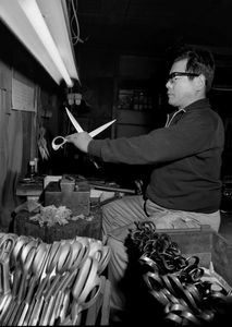 Scissors craftsman.