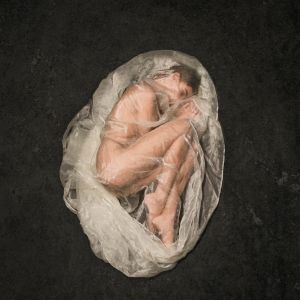 Uterus