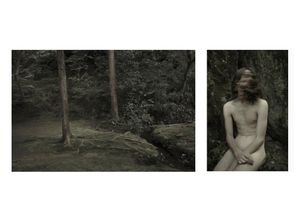 Leaves of grass - Songs of parting #1 - 2017