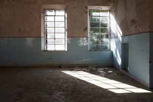 The light