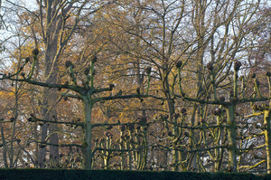 Feature on the historic dutch estate De Wiersse in Vorden for magazine De Tuin Exclusief. Feature in spring, summer and autumn