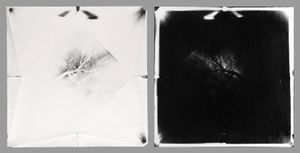 Paper Camera, Small_01 / Positive of PCS_01, Gelatin Silver, 2012 © Ross Faircloth