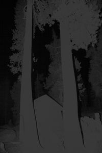 Untitled (Shed)