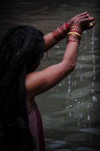 The Rhythm of Life