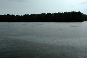 Tortuguero, Costa Rica, 2018