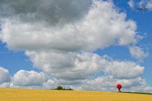 Call of The Clouds