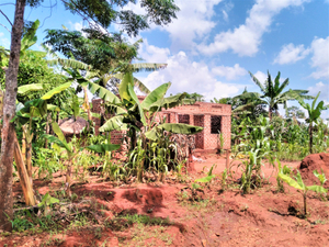 One brick at a time -- one of the many unfinished brick houses in Uganda