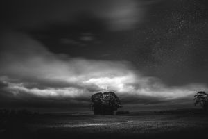 Copse at midnight, Oxfordshire