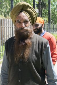 Portrait of senior Sikh man