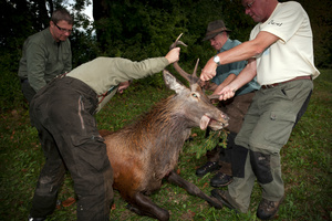 Chasseurs avec leur proie; Broc