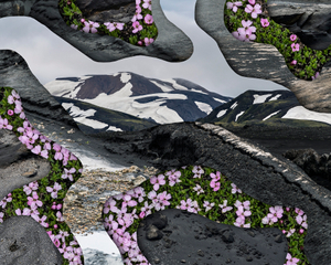 Topography Study XXXIX