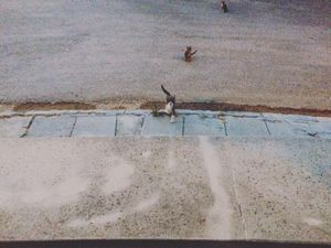 "The street choreography"