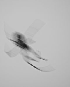 Fly
