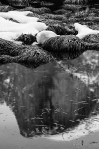 Ice Mirror
