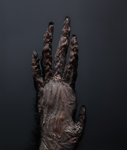 Fingerprints