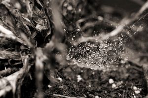 Fragments  #3