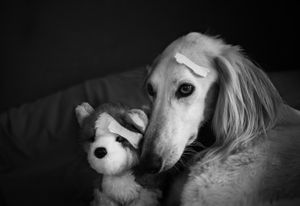 Kris and Marius Three