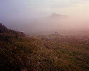 Morning on Saddle Tor